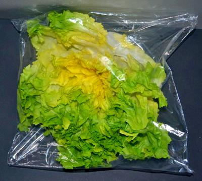 Salatbeutel_2.jpg