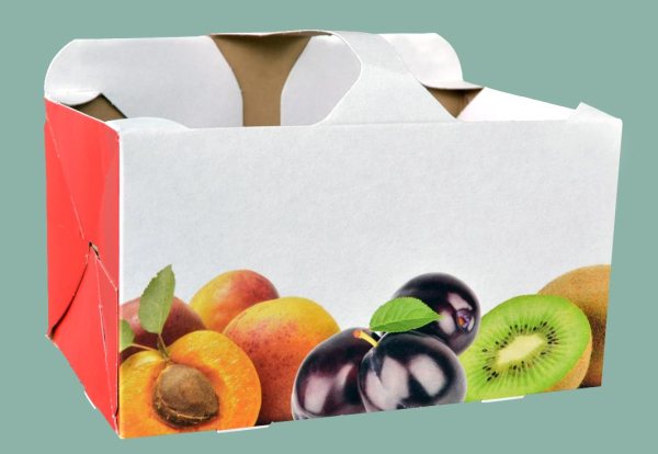 Fruechteschalen_1kg_10448_1.jpg
