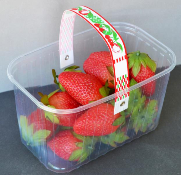 Fruchtschalen_1kg_tranparent_Henkelrot.jpg