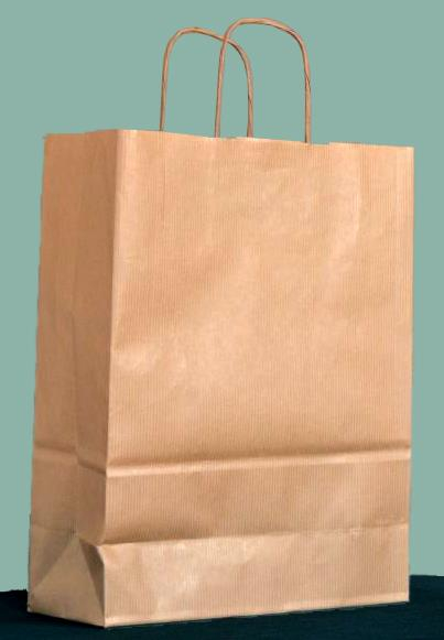 Papier_Tragtaschen_braun_gedreht_6.jpg