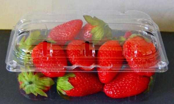 Fruchtschalen_500g_mit_Deckel_klein.jpg