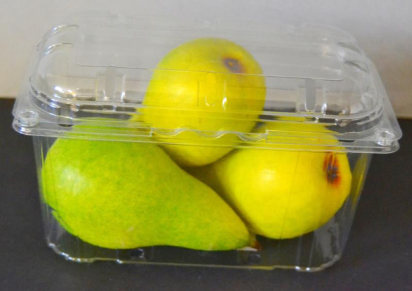 Fruchtschalen_mit_Deckel_500g_gross_1.jpg