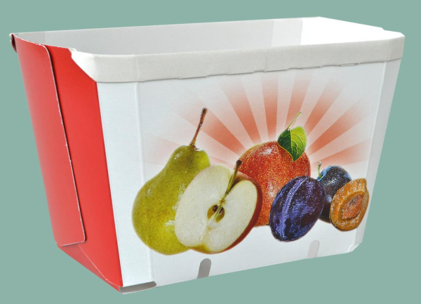Fruechteschalen_1kg_11231_2.jpg
