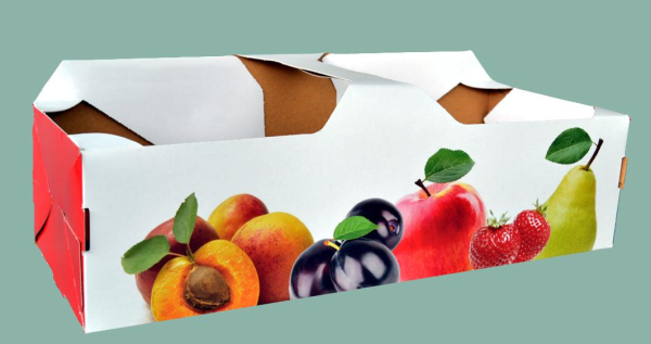 Fruechteschalen_2_5kg_11051_1_1.jpg
