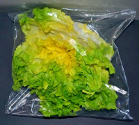 Salatbeutel_2.jpg